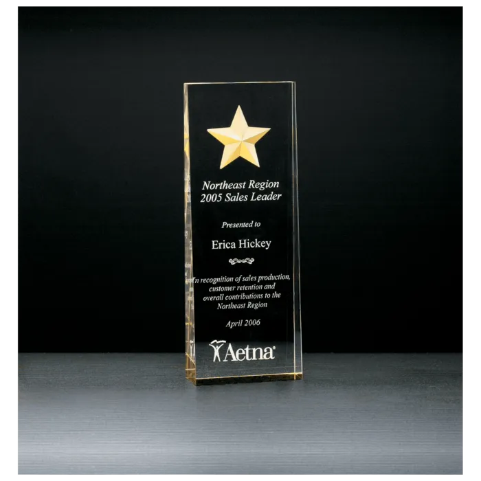 2 7/8" x 8" Constellation Series Etched Star with Gold Paint-Filled and Mirrored Bottom Acrylic