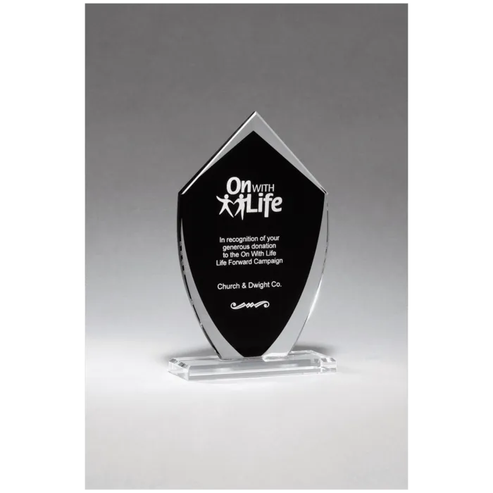 5 1/2" x 9 1/4" Shield Shaped Glass Award with Black Silkscreened Center