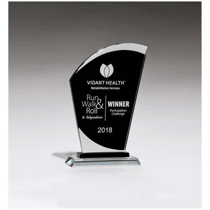 6" x 9 1/2" Sail Shaped Glass Award with Black Center
