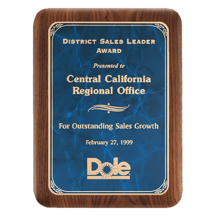9" x 12" American Border Sapphire Marble LaserFX Plate